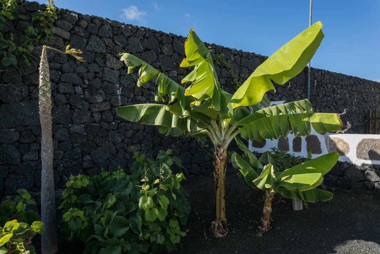 Villa El Jable Lanzarote Teguise  Exterior photo